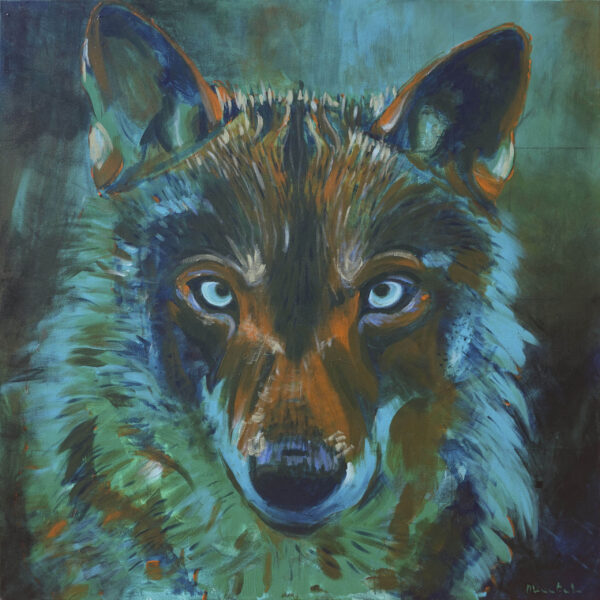 Lobo ibérico 100x100cm