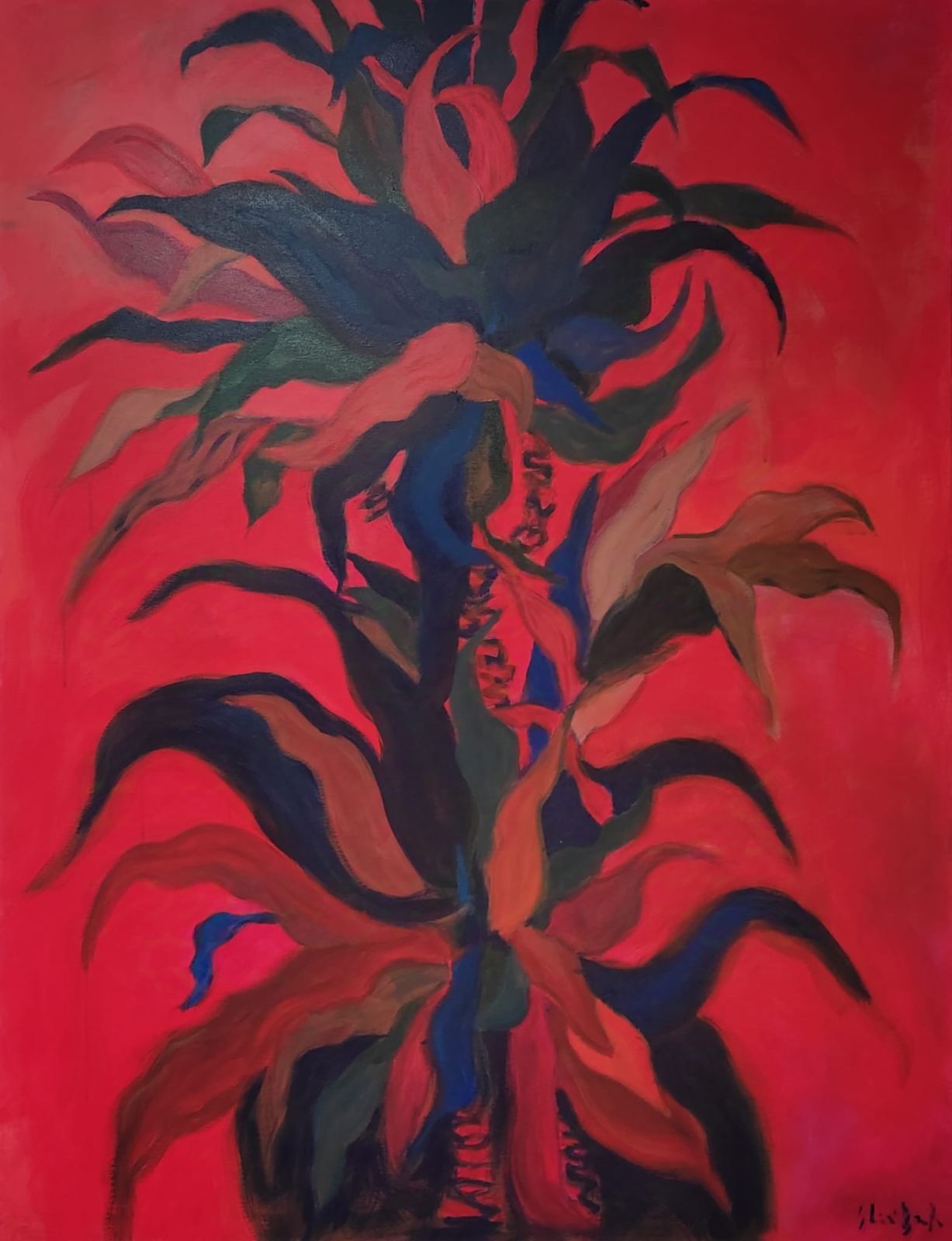Red plant